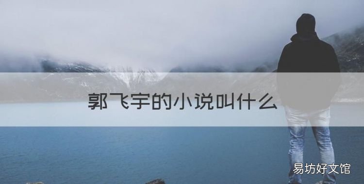 郭飞宇的小说叫什么,有没有一部小说男主角名叫楚天