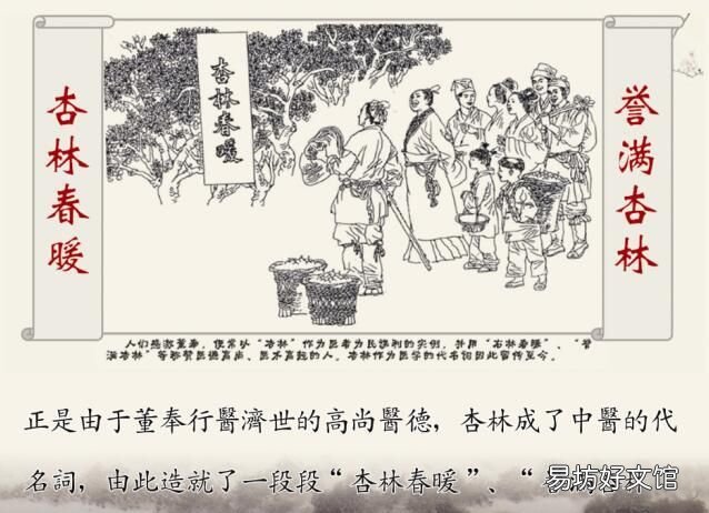 传统文化里的梨园,杏林,杏坛,桃李都指什么?你知道么