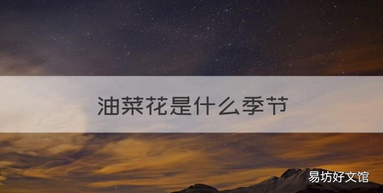 油菜花是什么季节,油菜花什么季节开