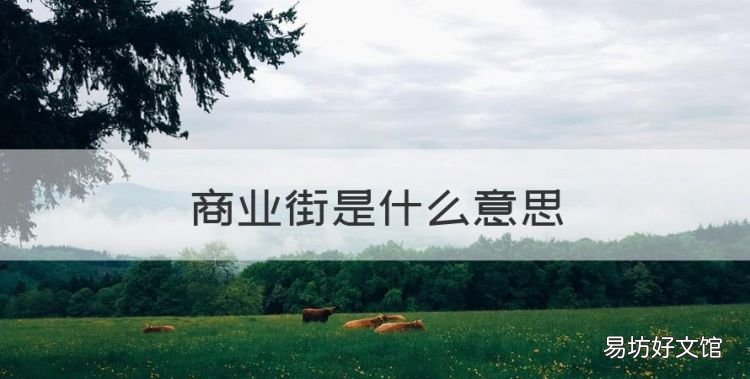 什么是商圈,商业街是什么意思