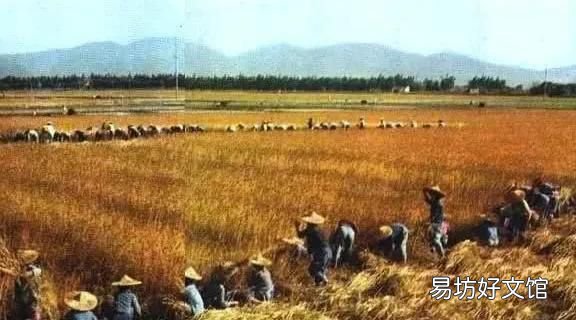 60—70年代的人回忆人民公社的事情