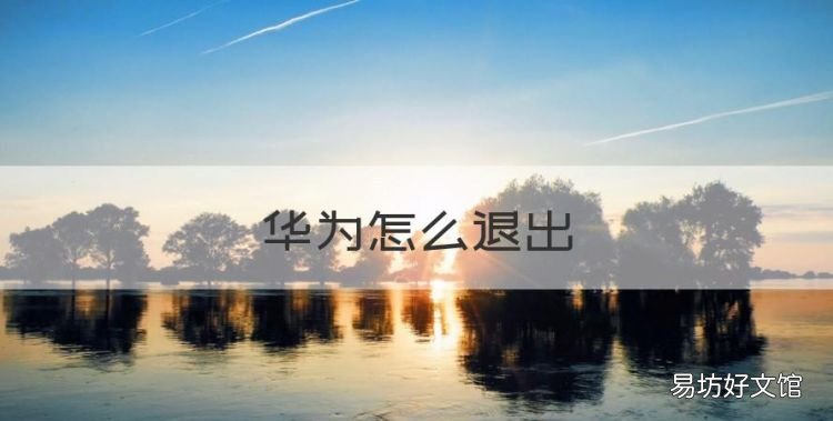 华为怎么退出，华为手机的开发者选项在哪里能找到