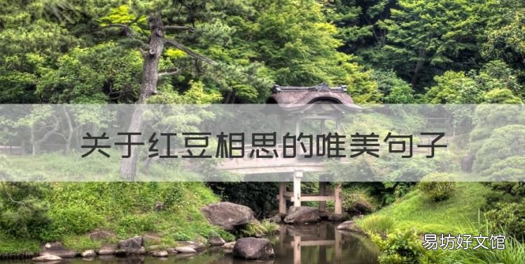 关于红豆相思的唯美句子