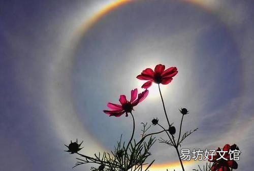 近日多地,现“白虹贯日”,俗称“日晕”在古代有着不祥的预兆,有什么说法吗