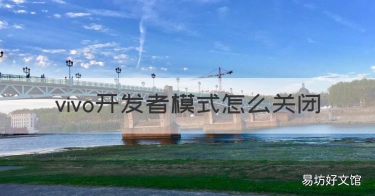 vivo开发者模式怎么关闭,vivo怎样关闭开发者模式提醒