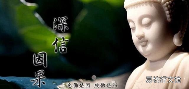 如何科学正确的放生 怎样放生才是最正确的