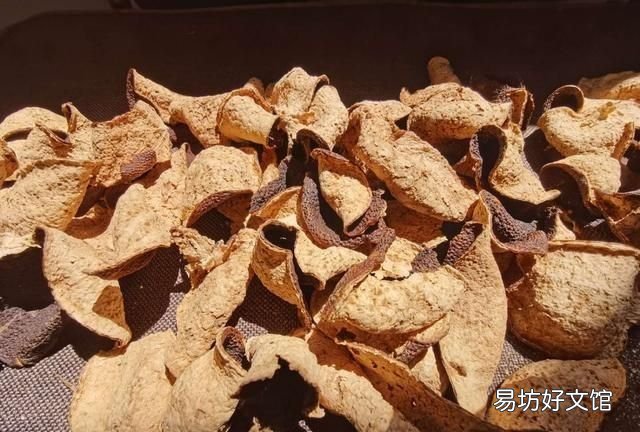 陈皮是什么，制过的陈皮是黑色的好吗