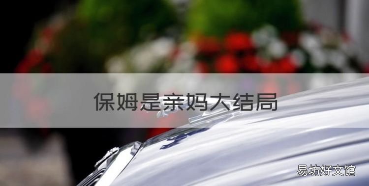 保姆是亲妈大结局,三个女人的秘密电视剧保姆结局是什么