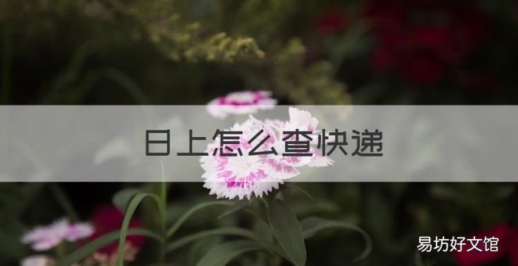 日上怎么查快递