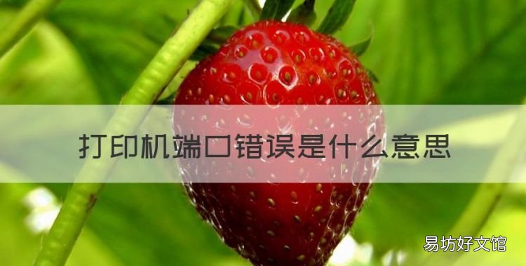 打印机端口错误是什么意思，打印机不支持无线打印是什么意思