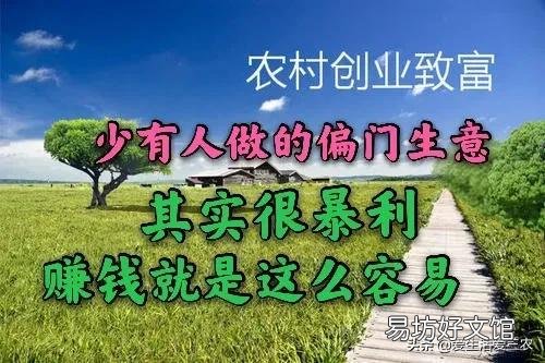 偏门灰色赚钱的方法门路 偏门项目网
