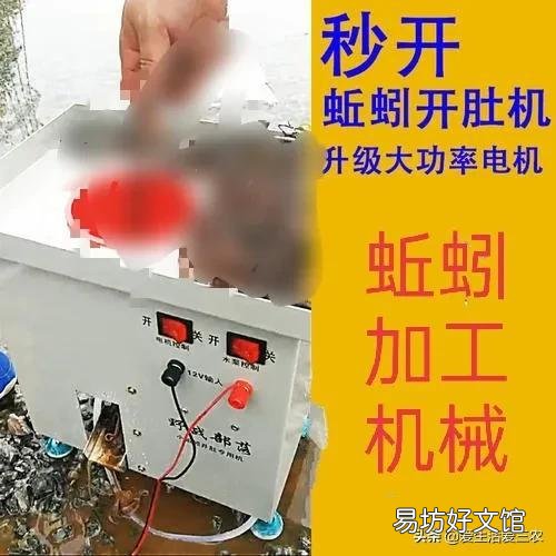 偏门灰色赚钱的方法门路 偏门项目网