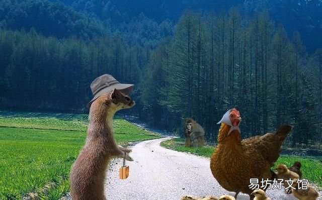 黄鼠狼吃什么,黄鼠狼的食物是什么