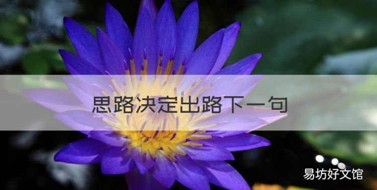 思路决定出路下一句,思想决定出路格局决定未来