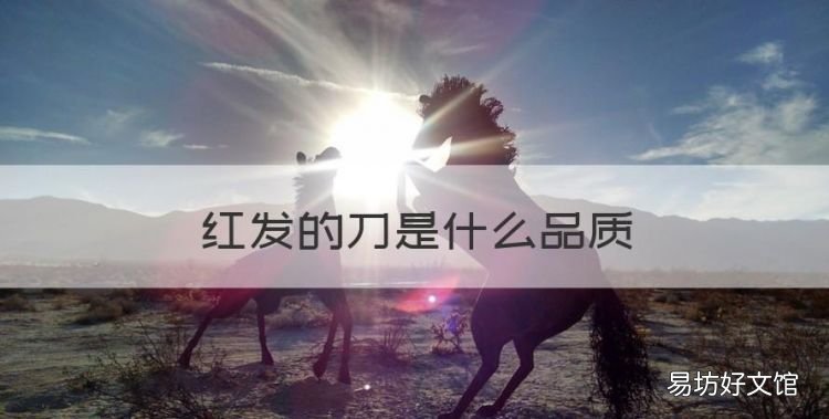 红发的刀是什么品质,海贼王红发到底是什么身份