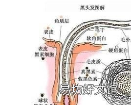 星座有没有科学依据