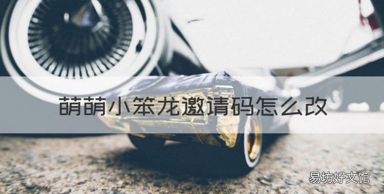 萌萌小笨龙邀请码怎么改,萌萌小笨龙为什么登录不了