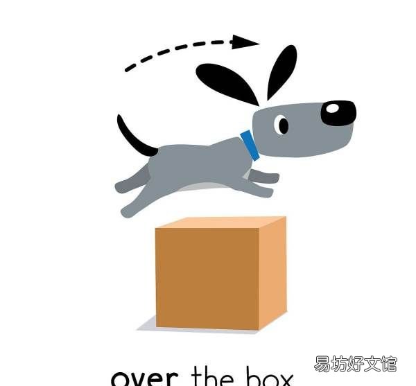 中专是什么