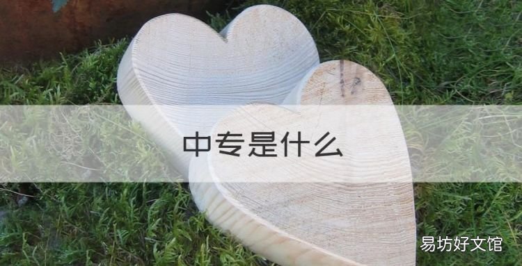 中专是什么