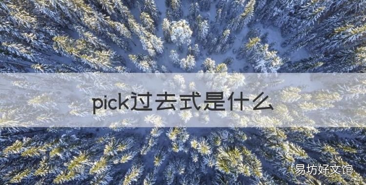 pick是什么意思,pick过去式是什么