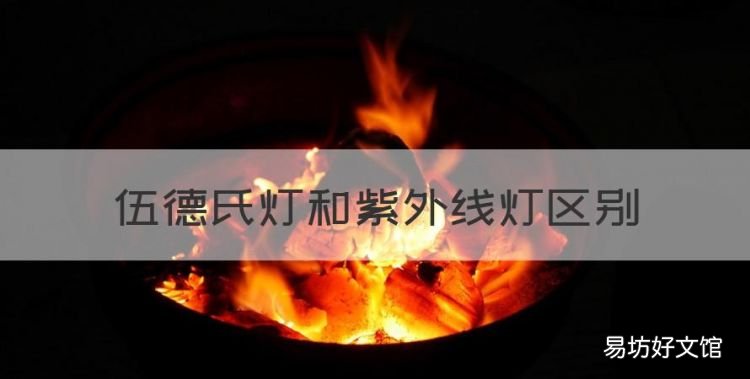 伍德氏灯和紫外线灯区别,伍德灯下的各种颜色代表什么猫