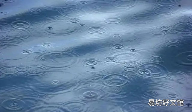 水的蒸发幼儿园中班科学