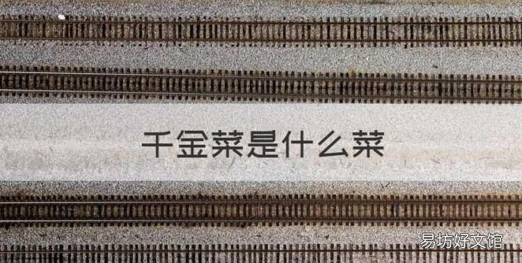 泥蒿是什么菜,千金菜是什么菜