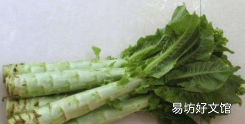 泥蒿是什么菜,千金菜是什么菜