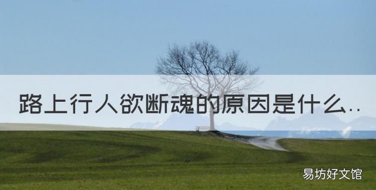 路上行人欲断魂的原因是什么