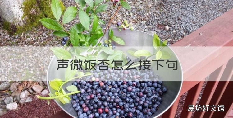 余声甚微尚未饭否,声微饭否怎么接下句