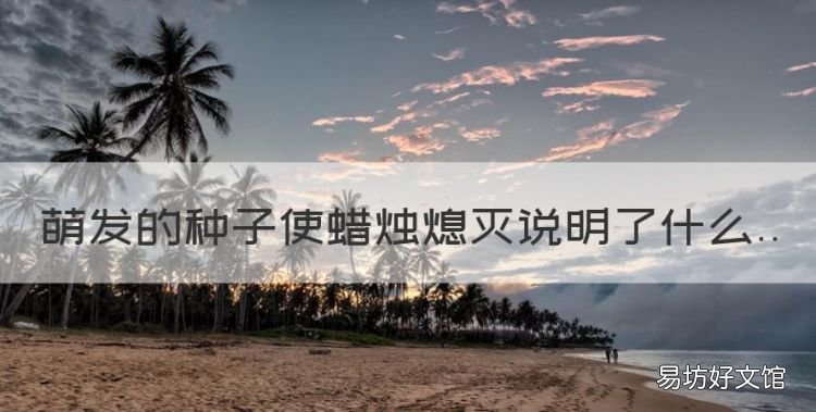 萌发的种子使蜡烛熄灭说明什么