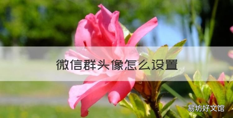 微信群头像怎么设置,微信群聊如何回复某句话
