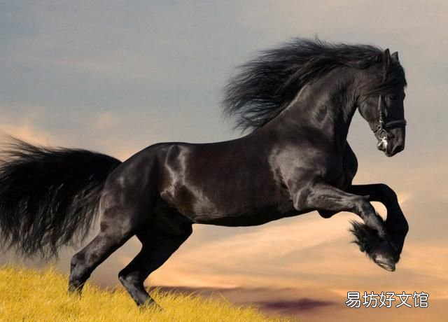 冰心写的现代诗,初中生家庭作业:仿写冰心的现代诗《春水》