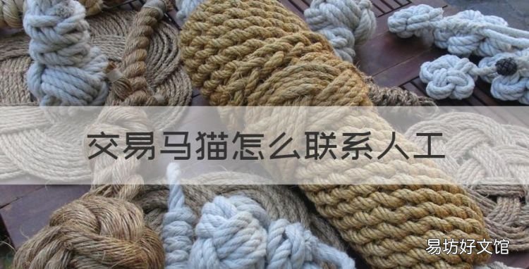 交易马猫怎么联系人工,百度官方服务中心人工客服电话多少