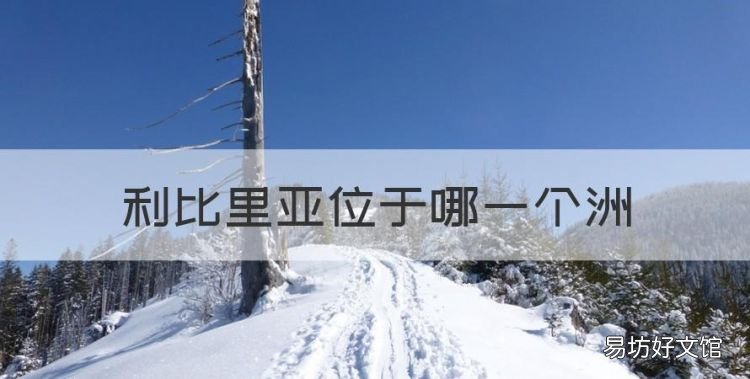 利比亚属于哪个洲,利比里亚位于哪一个洲