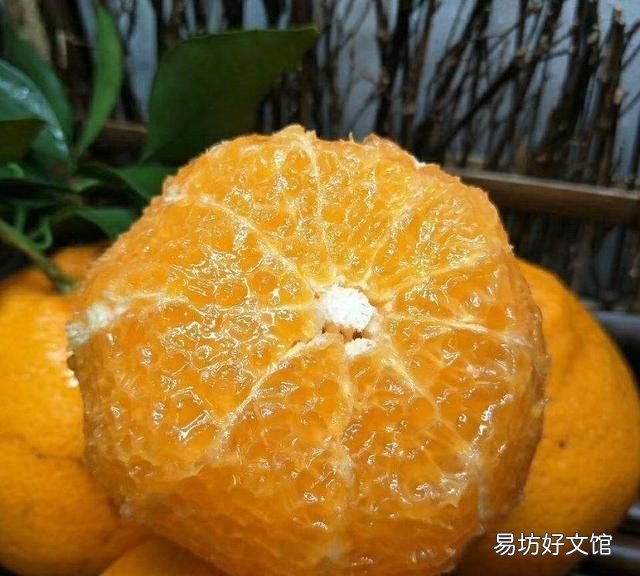 粑粑柑:春见粑粑柑吃了不上火