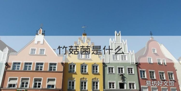 什么是竹蛋,竹菇菌是什么