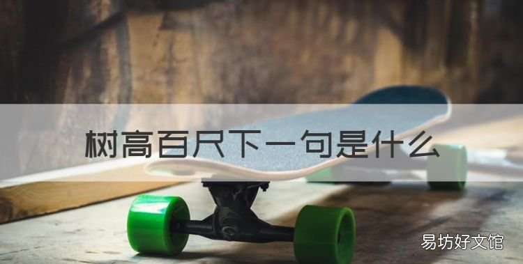 树高百尺下一句是什么,树高百尺,叶落归根是什么意思?