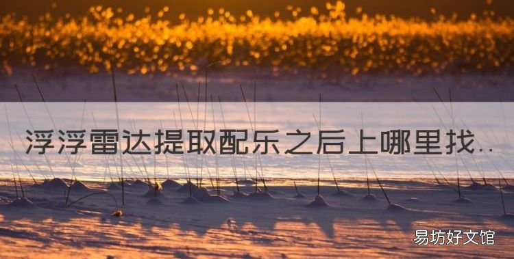 浮浮雷达提取配乐之后上哪里找
