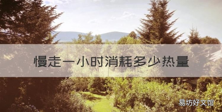 慢走一小时消耗多少热量,慢走一个小时能消耗多少卡路里