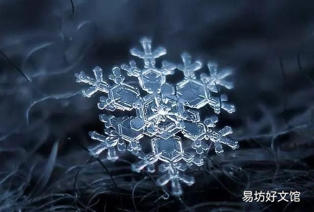 为什么水在4℃密度最大？为什么重水和普通水的熔点不同？