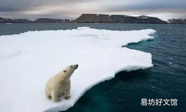 为什么水在4℃密度最大？为什么重水和普通水的熔点不同？