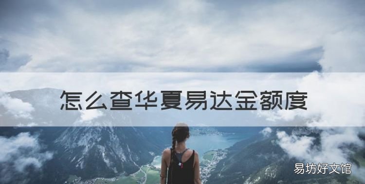 怎么查华夏易达金额度,怎么查看易达金年费记录明细
