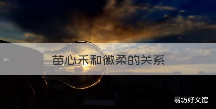 苗心禾和徽柔的关系,清平乐赵祯为什么喜欢张贵妃
