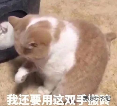 “累丑”一词冲上热搜!工作太忙真的会变丑吗?