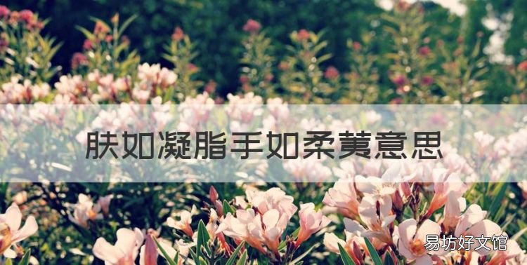肤如凝脂手如柔荑意思,肤如凝脂,手如柔荑,巧笑倩兮,美目盼兮