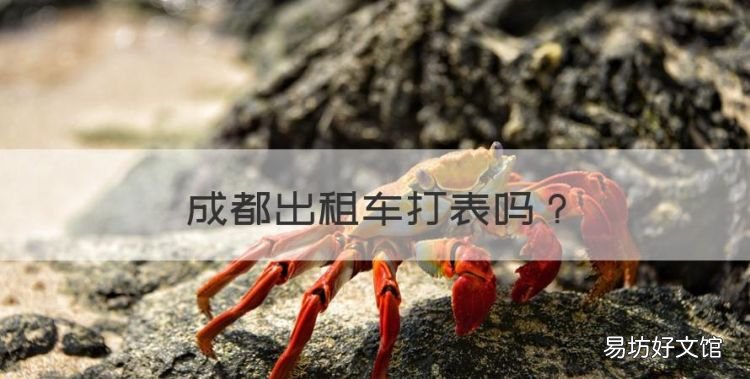 成都出租车打表,成都到都江堰高铁有哪些站
