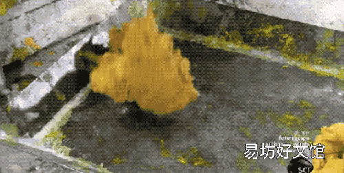 你知道弹弓的皮筋是怎么制造出来的吗英语