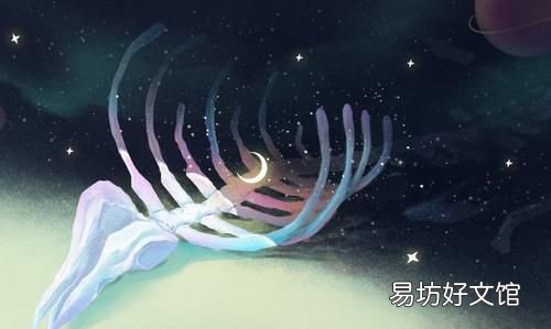 鲸鱼的生存阶段 一鲸落万物生什么意思