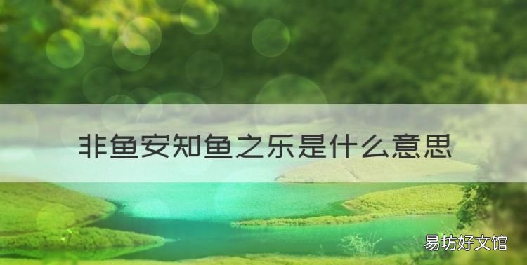 非鱼安知鱼之乐是什么意思,子非鱼安知鱼之乐这句话是什么意思